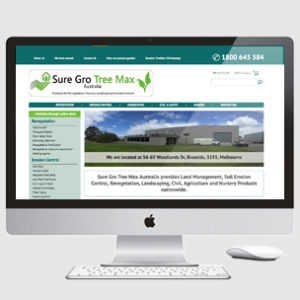 image of ecommerce website design