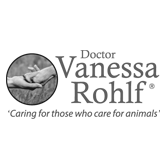 Dr Vanessa Rohlf